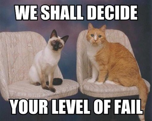 fail-cats-we-shall-decide-20090629-013635