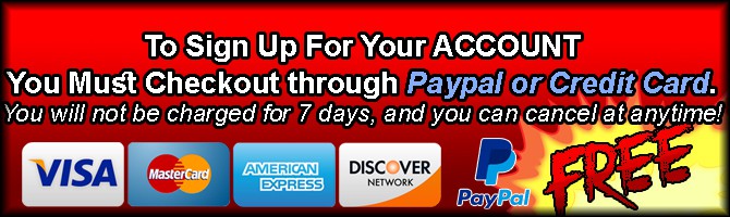 paypal and credit cards