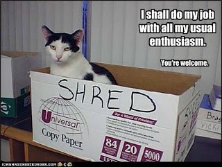 cat shred