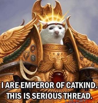 emperor cat meme