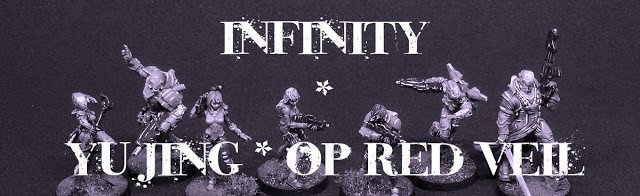 Infinity YuJing Red Veil