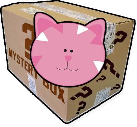 Pink Cat box