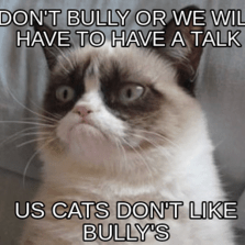 Cat Bully