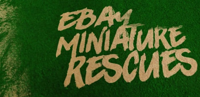 Ebay Miniature rescues
