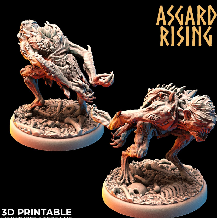 feb Asgard Rissing 4