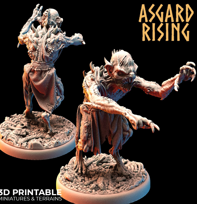 feb Asgard Rissing 5