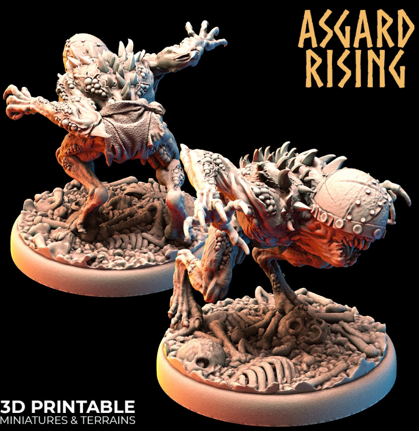 feb Asgard Rissing 7