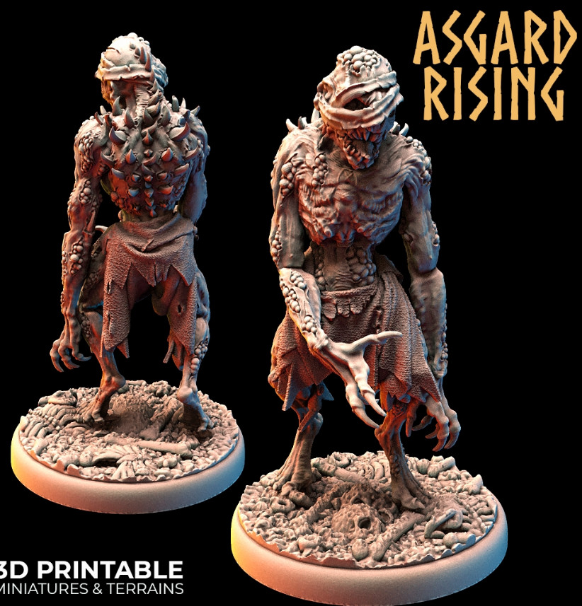 feb Asgard Rissing 6