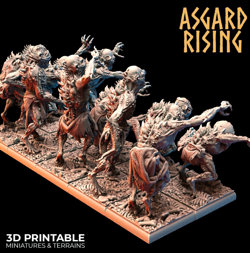 feb Asgard Rissing 2