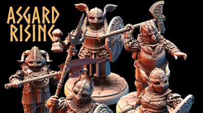 Shield Maidens Viking Saga Ideal for Dungeons and Dragons 