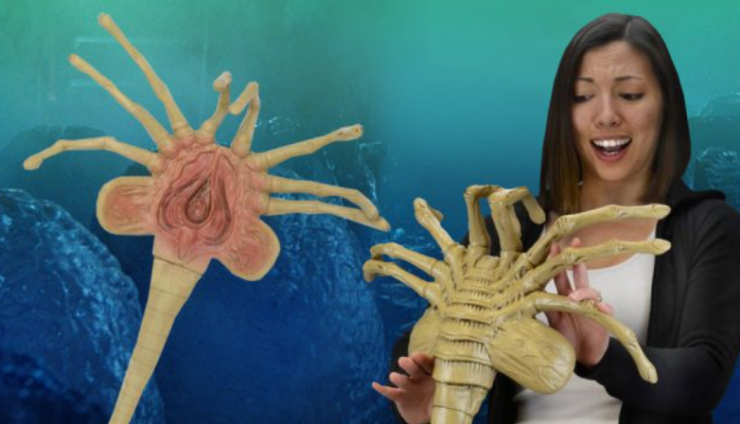 Life size Aliens Facehugger 2