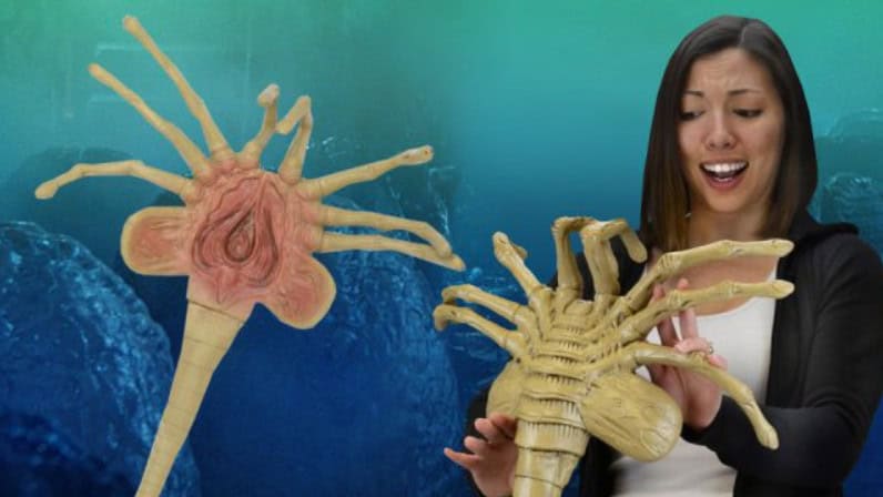 Life size Aliens Facehugger 2