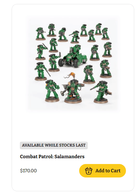 Salamanders Combat Patrol