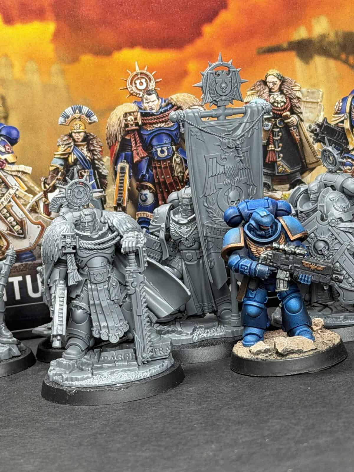 Titus Size Comparison