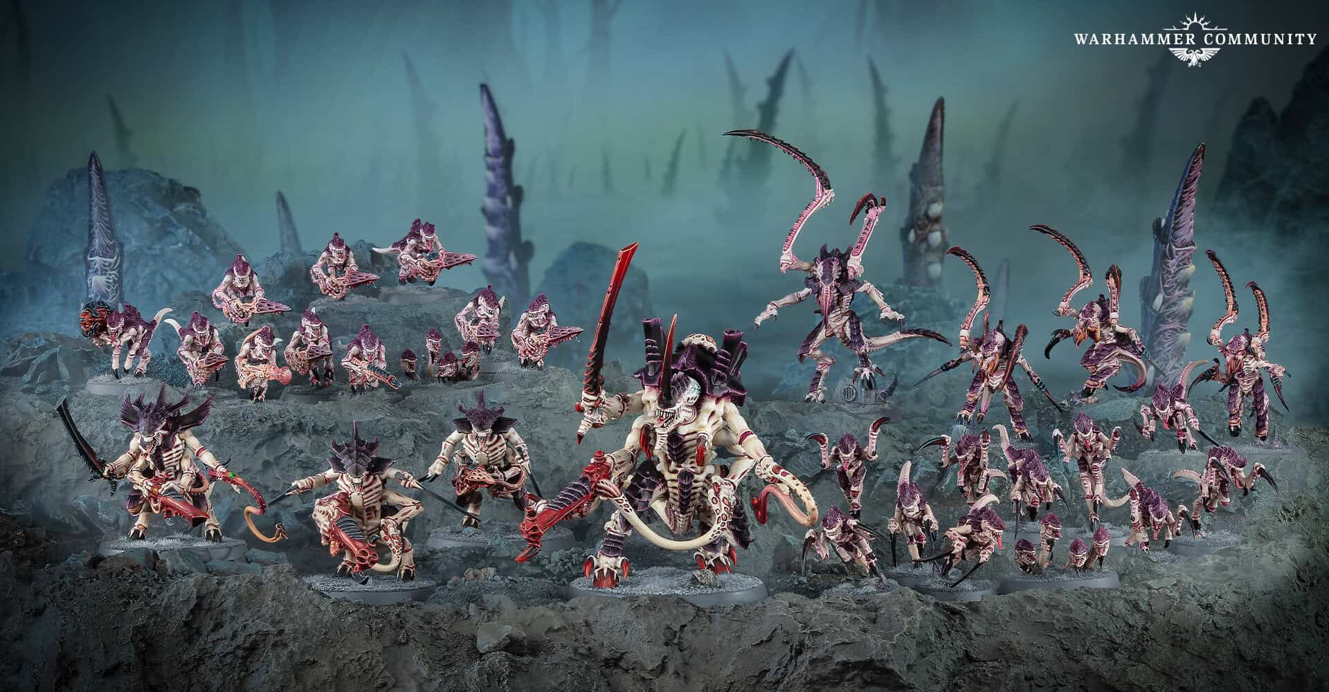 Tyranid Swarm battleforce box contents