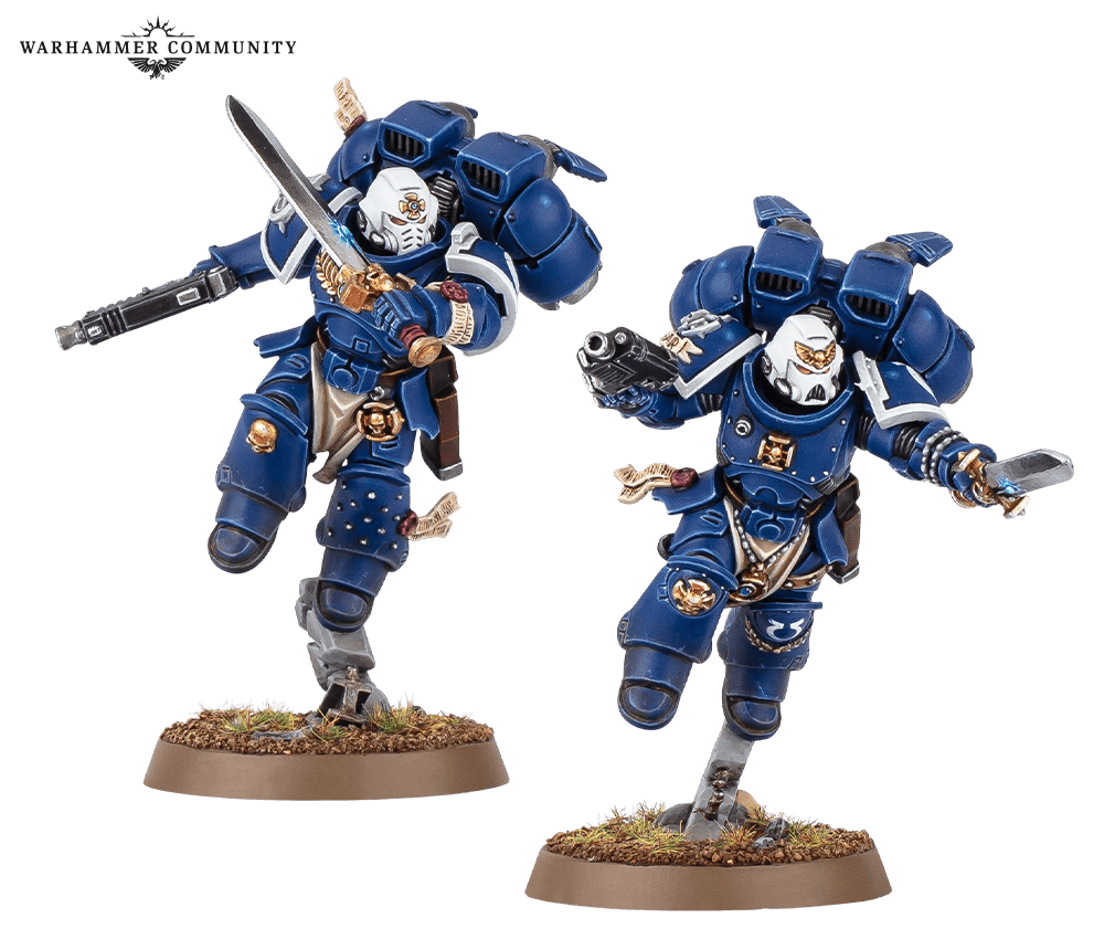 Vanguard Veteran heads and combat shields