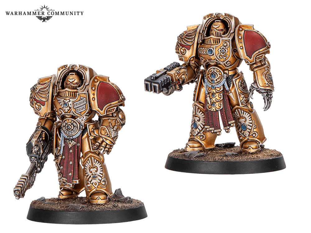 Close up of the ornamental gold detailing on Aquilon Terminator armour